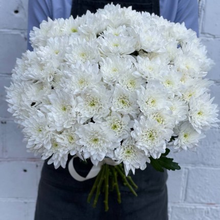 Белая кустовая хризантема - купить с доставкой в по Озерам